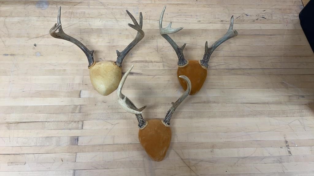 6,7,8pt Buck Mounts