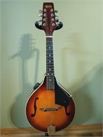 Woods by Samick mandolin in case
