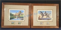 Framed waterfowl postage stamp art Colorado stamps