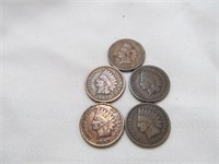 5pc US Indian Head Cents - 1903 & 1907