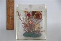 Vintage Dry Flowers & Mushroom in Acrylic Box