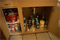 Contents under bathroom counter; cleaning products