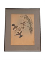 Framed Hummingbird Wall Art Piece