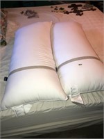 (2) Near New King Pillows & Comforter