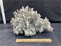 Large coral pc