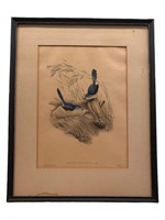 Framed Blue Bird Wall Art Piece