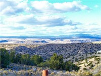 Over 1.5 Acres in Valencia County, New Mexico!