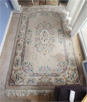 9' x 5'3" Rug