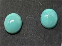 Turquoise Pierced Earrings