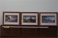 3 small Terry Redlin prints