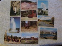 Postcards 10 Yellowstone Bison Geyser Brown Bear