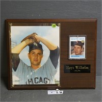 Hoyt Williams Baseball Card in Plaque