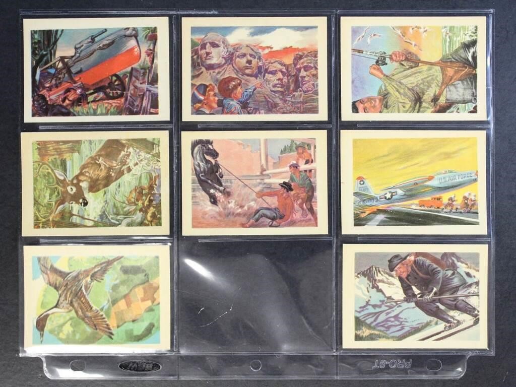 1956 Adventure Gum Cards 20+ different cards, Gum