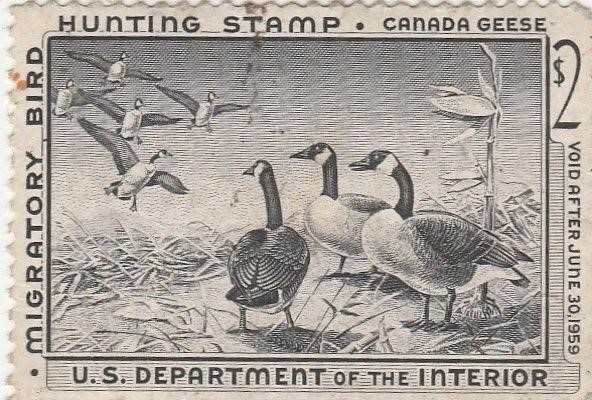 unused RW 25 Dept of the Interior Duck  Stamp