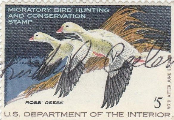 1978 Dept of the Interior Duck Hunting Stamp,