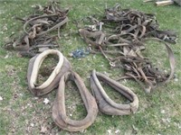 Various horse tack and collars.