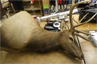 ELK shoulder mount