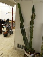 Cactus plant 82" high