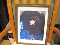 Framed Picture of Black Hollyhock and Blue Larkspu