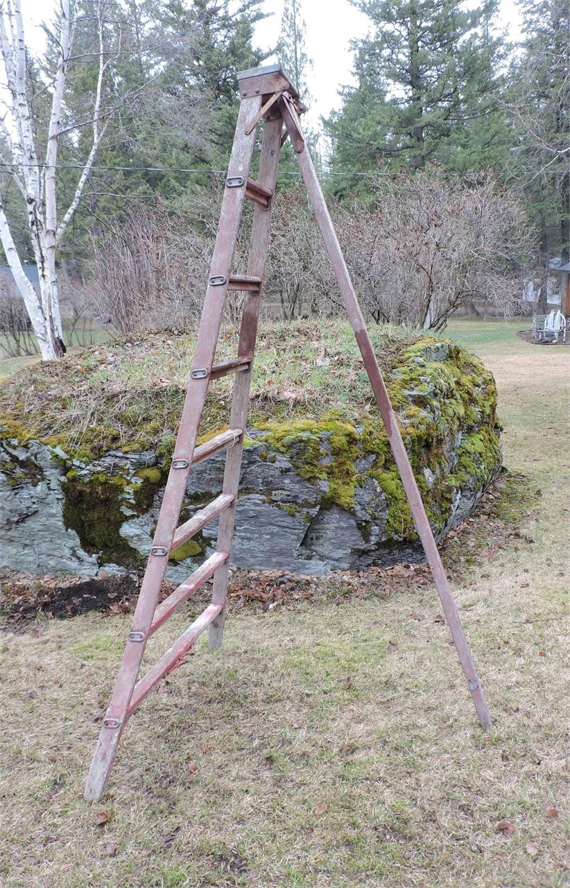 Wooden Fruit Tree Ladder