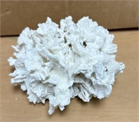 WHITE CORAL 5X5X3IN. / SHIPS