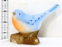 Fenton satin bluebird on branch