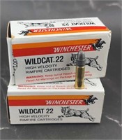 Winchester 22 Long Rifle - 100 Rounds