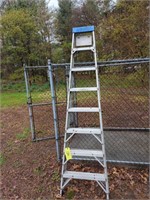 Werner  8-ft Aluminum Step Ladder Located At