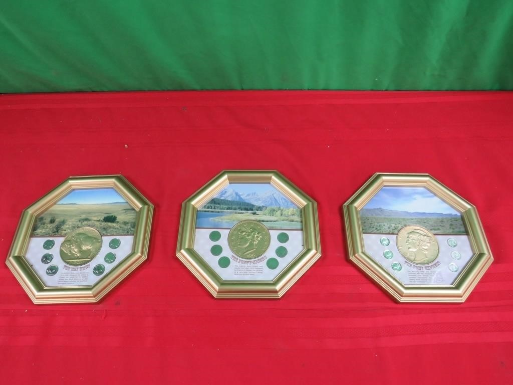 3 Commemorative Coin frames