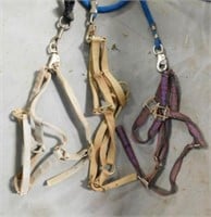 3 Halters with Lead Ropes