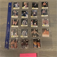 Lot of Sealed Hostess WWF Cards
