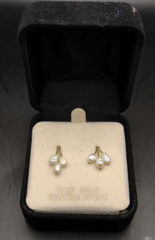 14KT Gold Genuine Stone Earrings