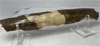 Fossilized Mammoth Tusk Ivory Piece
