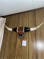 bull horns
