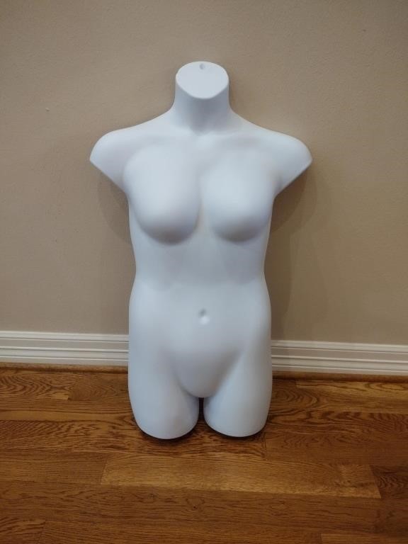 Plastic Body Form Display