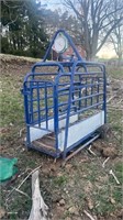 Calf scale and crate
