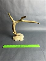 Deer Shed Desk Ornament