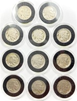 Lot of (11) Buffalo Nickels in Airtite Holders