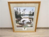 Boundary Waters Loon Framed Print by Leo Stans