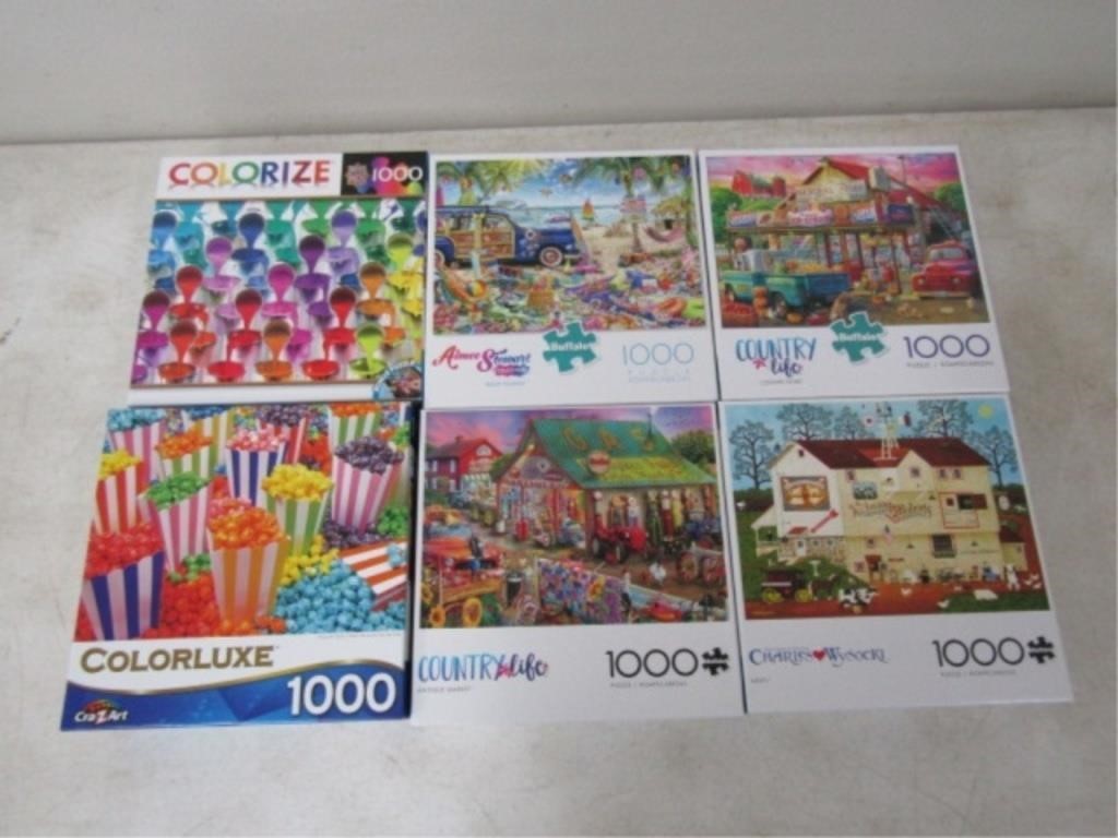 6-1000pc Puzzles