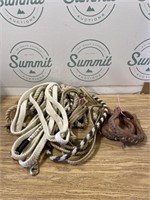 Group of lead ropes and stirrups