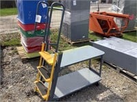 E. ballymore industrial step ladder cart
