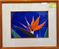 Y - BIRD OF PARADISE WATERCOLOR BY K KANESHIRO