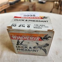 Winchester 20 Shotgun Shells  - 1 box of 6 shot