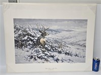 Art Print: White Silence Mule Deer by Sieve