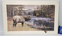Art Print: Elk Signed & Numbered by Kip Richmond
