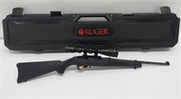 Ruger 10/22 BSA with scope, .22LR with case