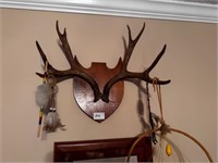 MOUNTED HORNS