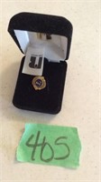 Lions club pin