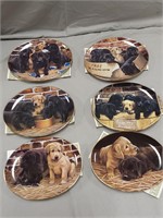 The Franklin Mint - Labrador Plate Series